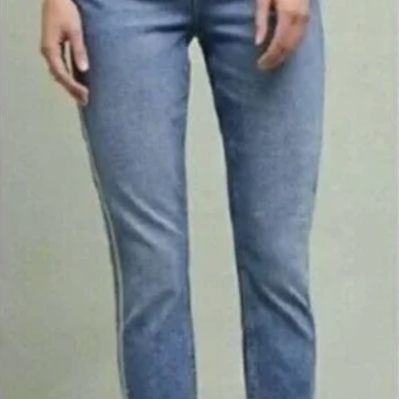 Anthropologie Pilcro Jeans Silver metallic stripe 32 - Picture 2 of 9